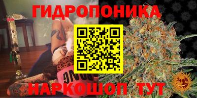 PSILOCYBIN Ставрополь