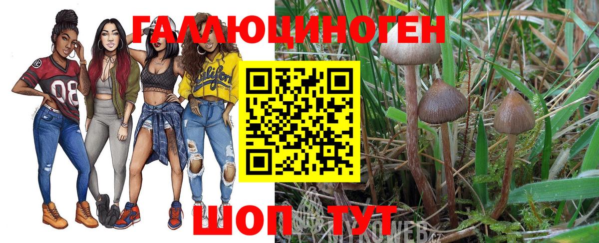 Псилоцибиновые грибы Magic Shrooms Октябрьский