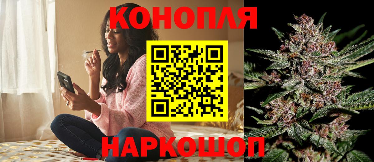 Канабис сатива Октябрьский